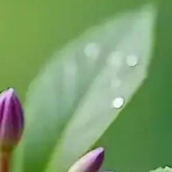 正能量生活中，少一些指责与抱怨，多一些包容与肯定；少一些猜忌与嘲讽，多一些理解与