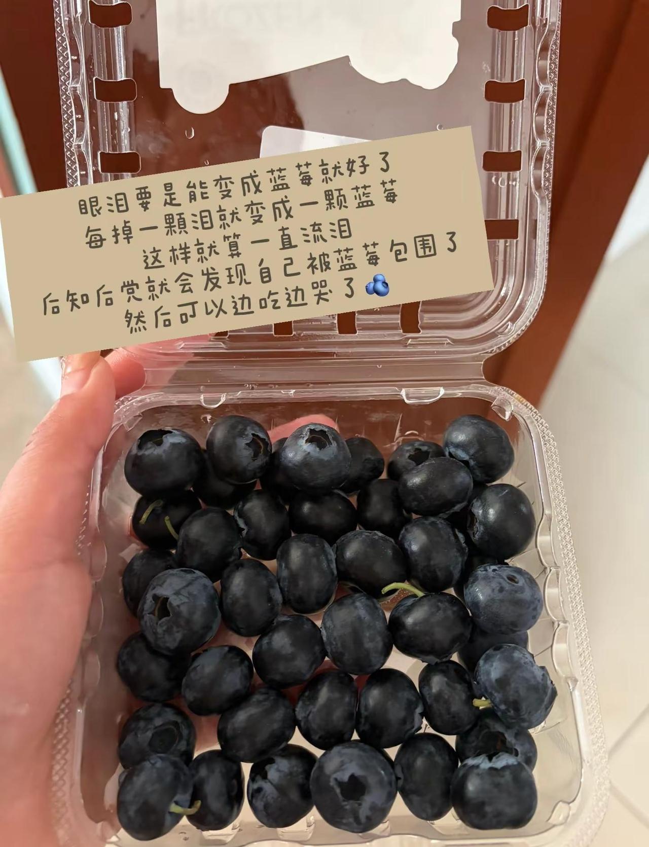 如果蓝莓跟牛一样大就好了🫐蓝莓 草莓🍓
