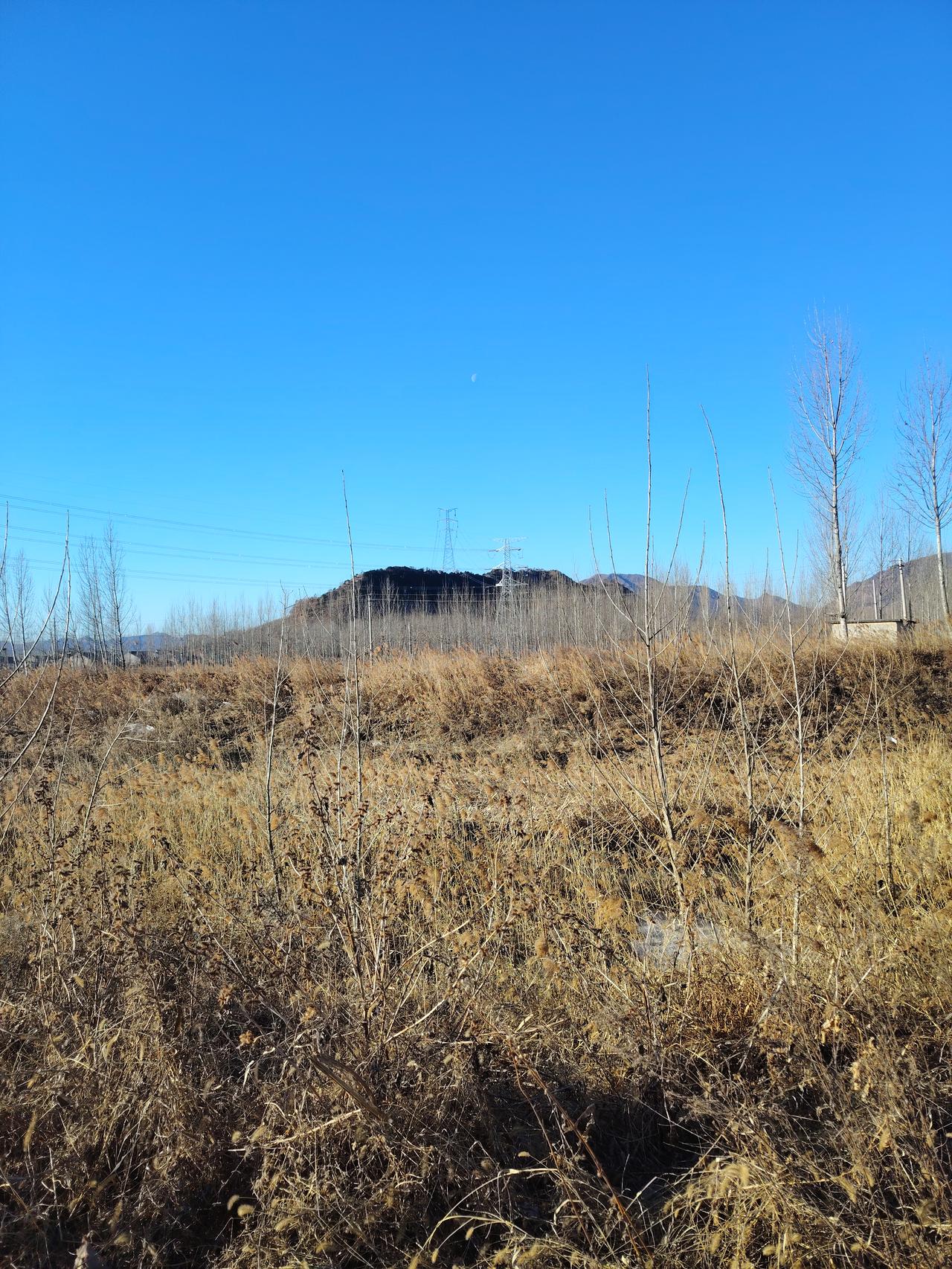 今年冬天的不同 今年冬天确实不同，抬头是澄澈的蓝天白云，低眸是荒地里孤零零的几棵