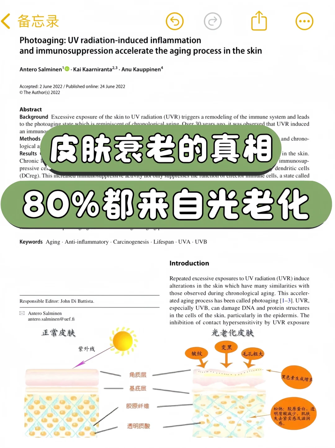 光老化自救攻略，一分钟了解抗光抗老🔥