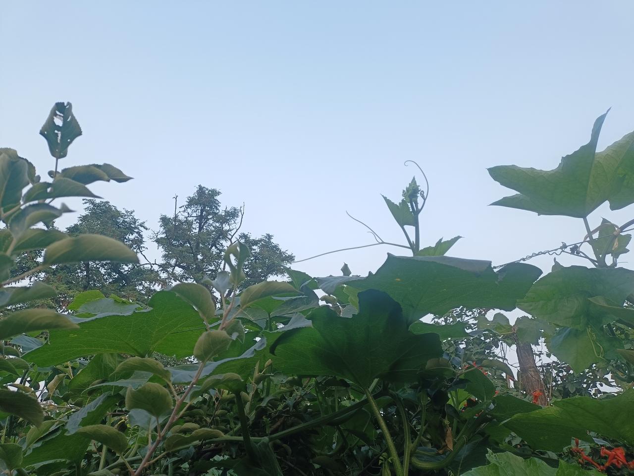 慢练柔练只是一个阶段，
看见老师父练拳，
那个架势就带劲，
身体就像弹簧一样，