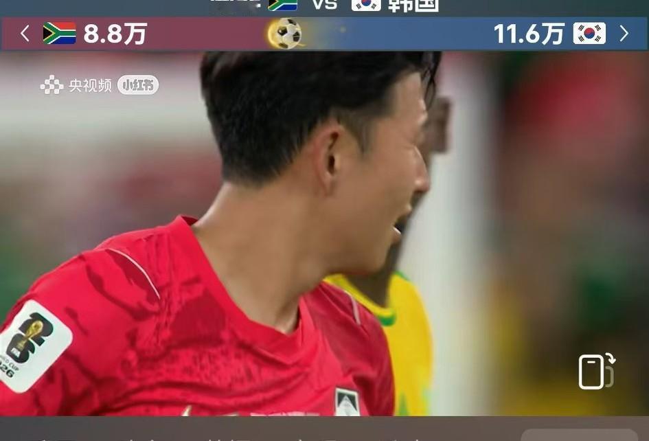 “亚洲足球之光”韩国队0-1不敌弱旅南非队，出线形势不妙。
韩国队队犯了以往中国