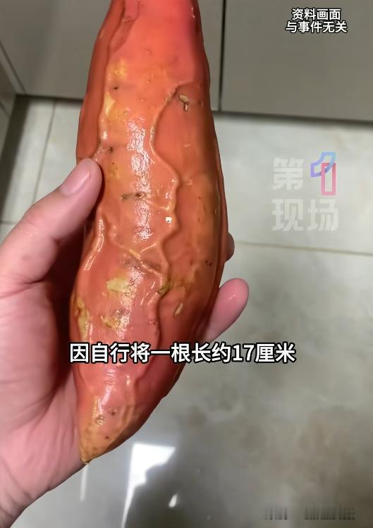 成都61岁男子将17cm红薯塞入肛  门，半夜疼痛难忍被迫就医，由于尺寸过大，医