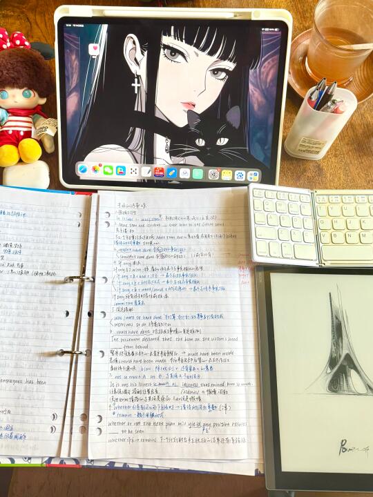 永远专注于自己👊（姐今天高能量猛学8h）
