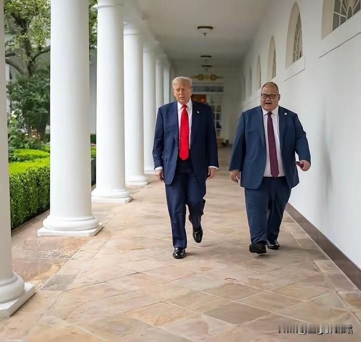 张振熙与特朗普走在一起，别看张振熙挺肥胖，他竟然不比特朗普矮多少，目测他至少18