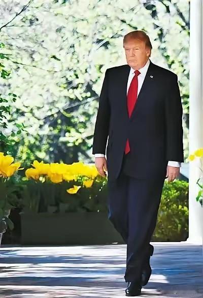 这个世界已让人胆颤心惊

世上哪有什么“民主、自由、平等、博爱”。

一国的总统