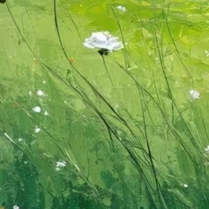 阳光信用‎阳光信用 叶边藏芽，落地即活，生命最动人的模样，是于贫瘠处扎根。 