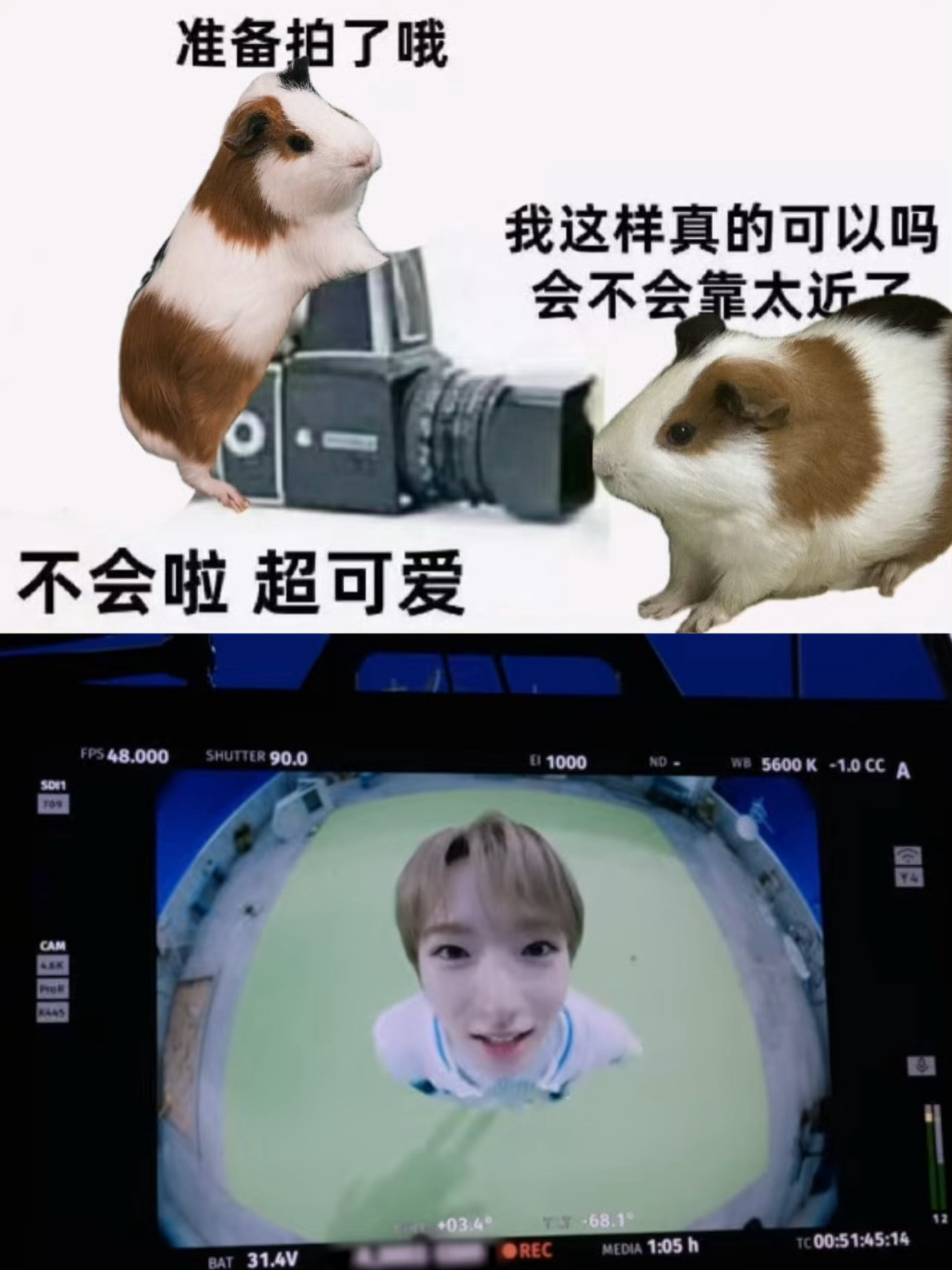 不会啦超可爱𐐃 з 𐐃 