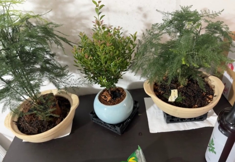 建议所有外卖包装都按这个强度来 点了两份煲仔饭用来做盆了