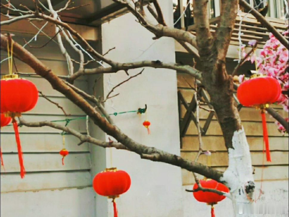 随手拍  打卡迎新年  除旧迎新！过了腊八，年味儿渐浓，家家户户张灯结彩，迎新年