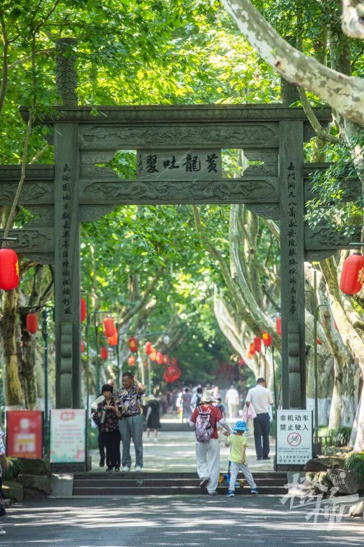 西湖知名景区明起闭园

黄龙洞，杭州人都很熟悉。这是一处有名的求“缘”打卡地，热