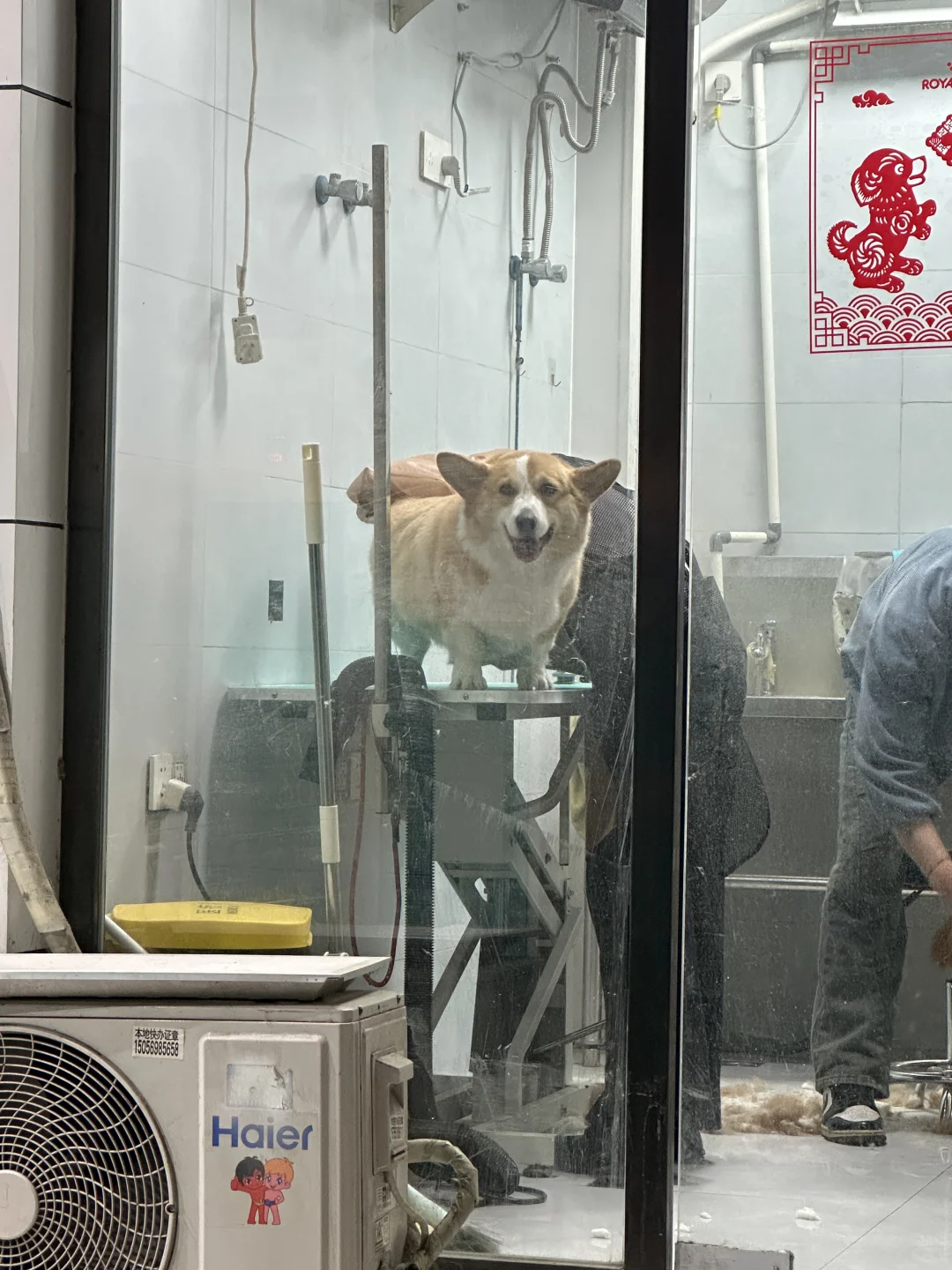 洗洗澡，过年啦