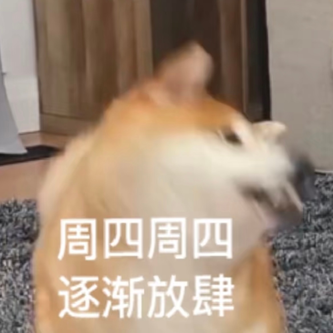 早上好啊家人们！出门工作了🧱早安