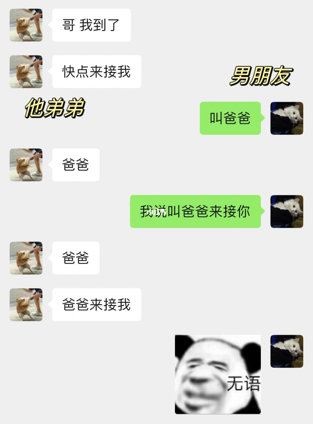 男朋友和他弟聊天能有多搞笑……