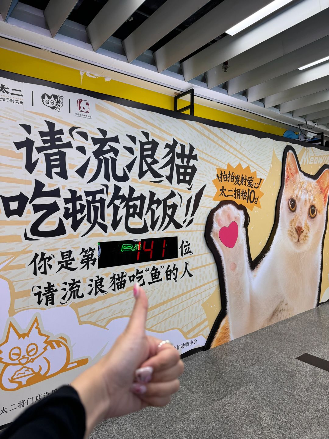 啊啊啊啊！又是被广州治愈的一天……