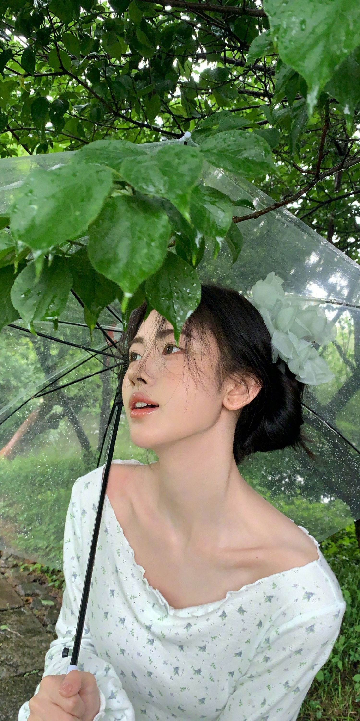 鞠婧祎穿搭写真，温柔好会拍。鞠婧祎