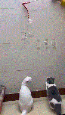 你你你……礼貌吗？啊？