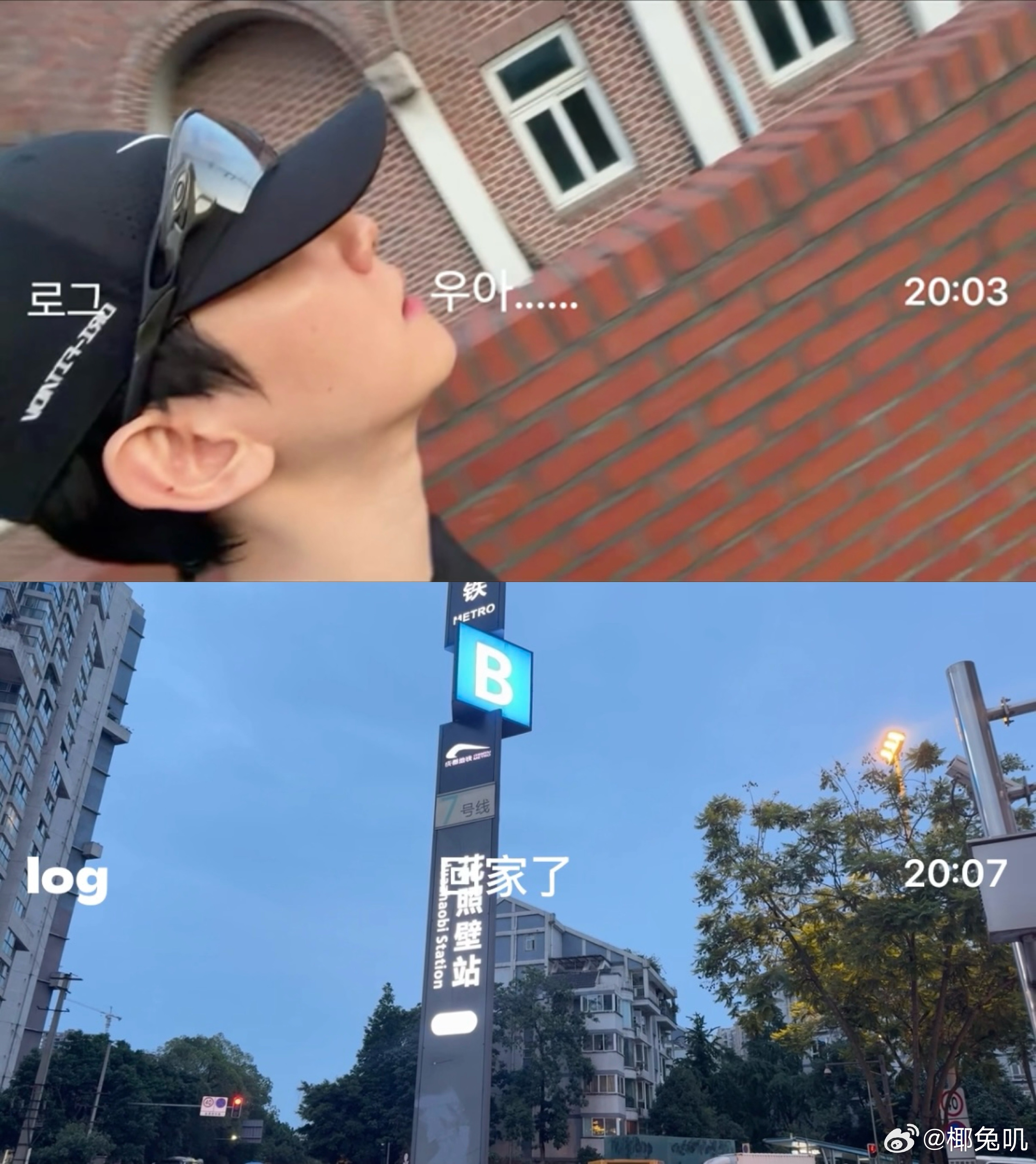 建设一下吧 我和狗log૮ • ﻌ - ა🫳🏻🫳🏻🫳🏻第一弹（有很多