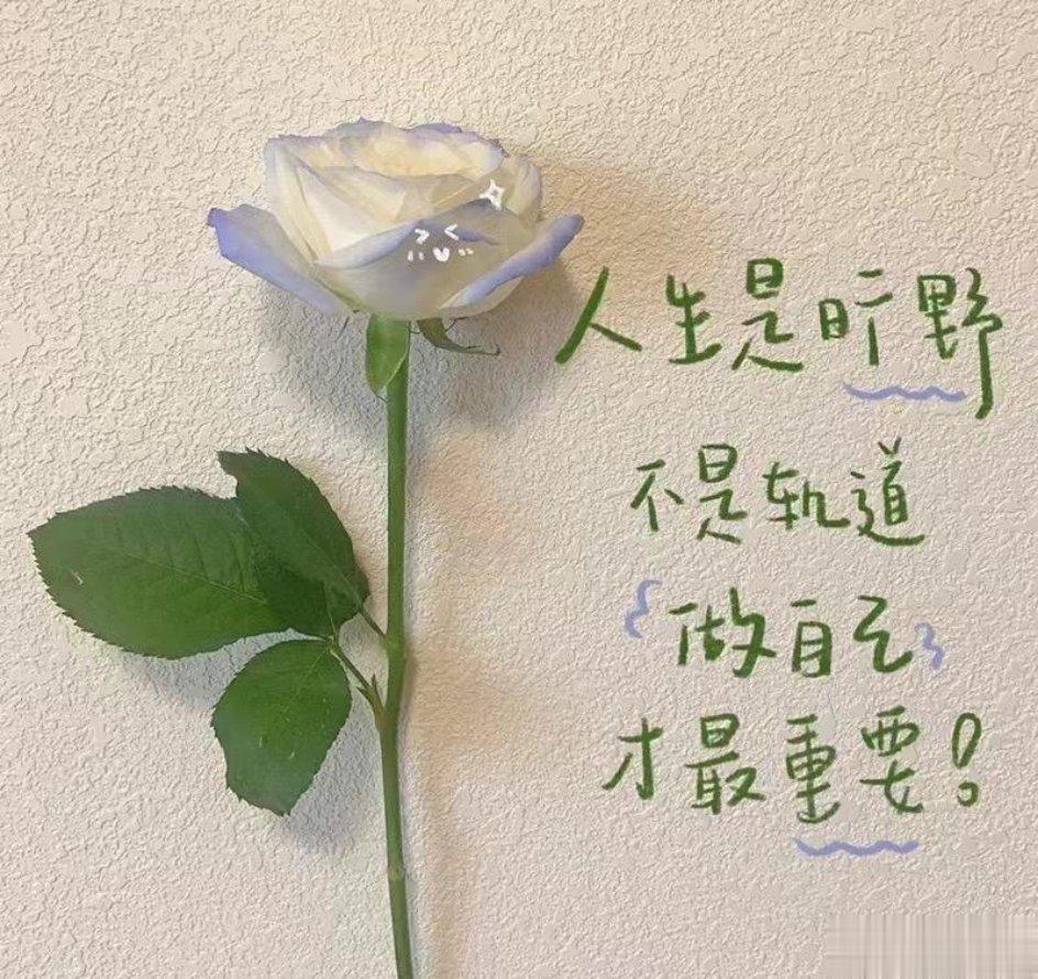 当你选择热爱生活那刻起，日子就会变得温柔又闪亮。早安，开启🔛美好的一天～-—?