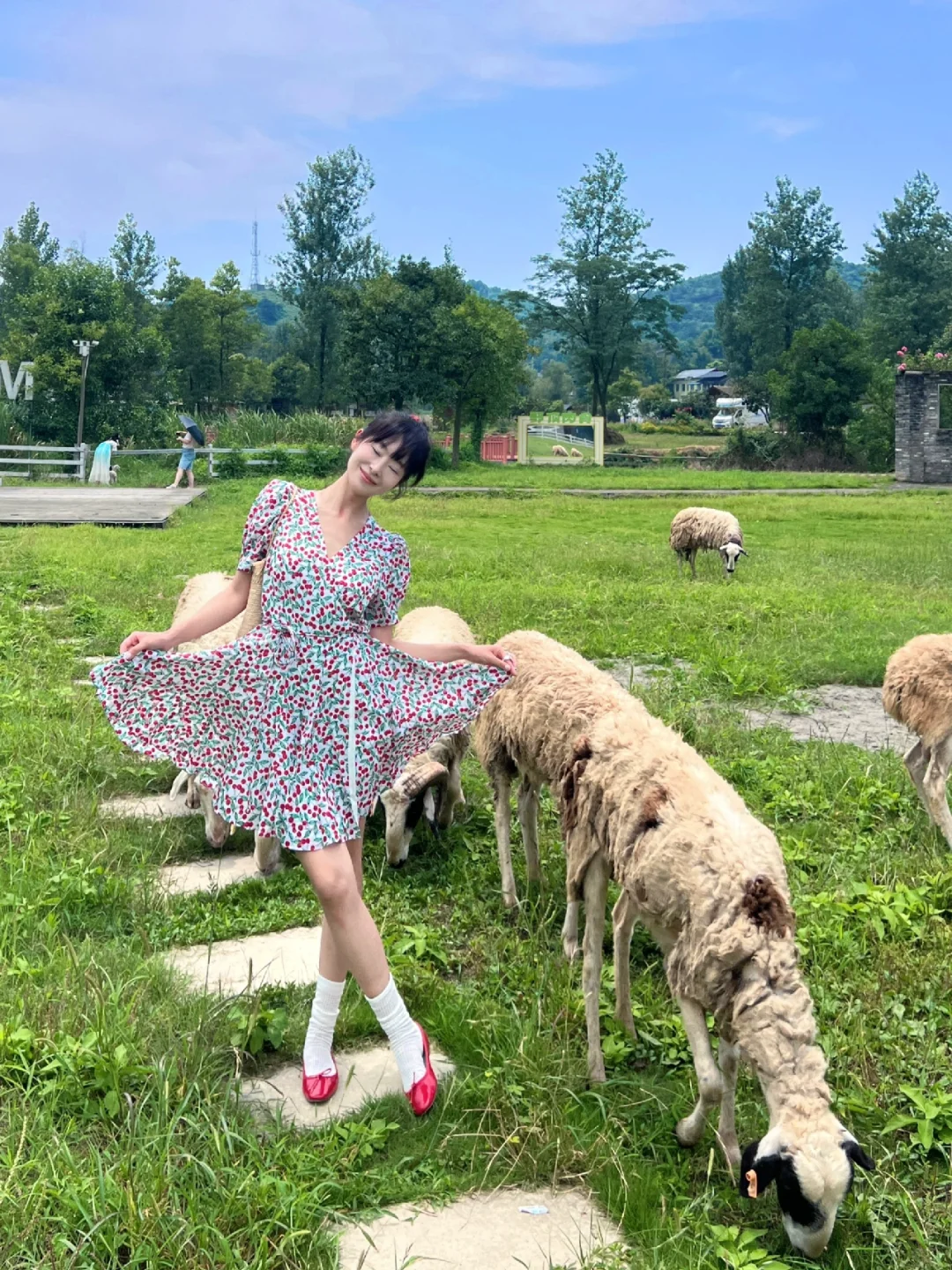 🐑 🫧 周末山里吸氧🌲～