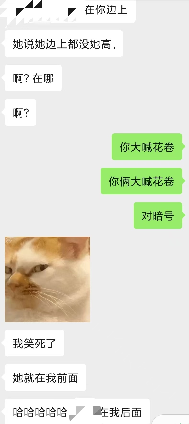 所以真的没钻石抓到抡抡吗？再给个提示🔔