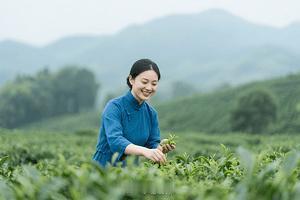 体制内公认的茶叶：· 第一名：西湖龙井（狮峰），¥12000/斤，豆香醇厚· 第