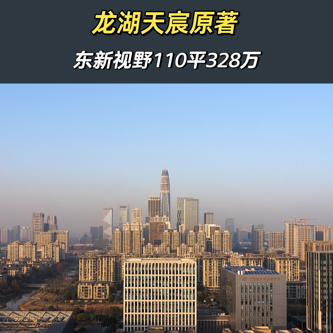 1.25特价房：0中介费，天宸原著110平328万