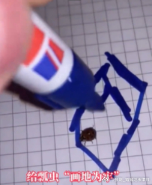 收到一封投稿，来自之前的一位客户。当然，我们后面也成为了很好的朋友。她找到我时，