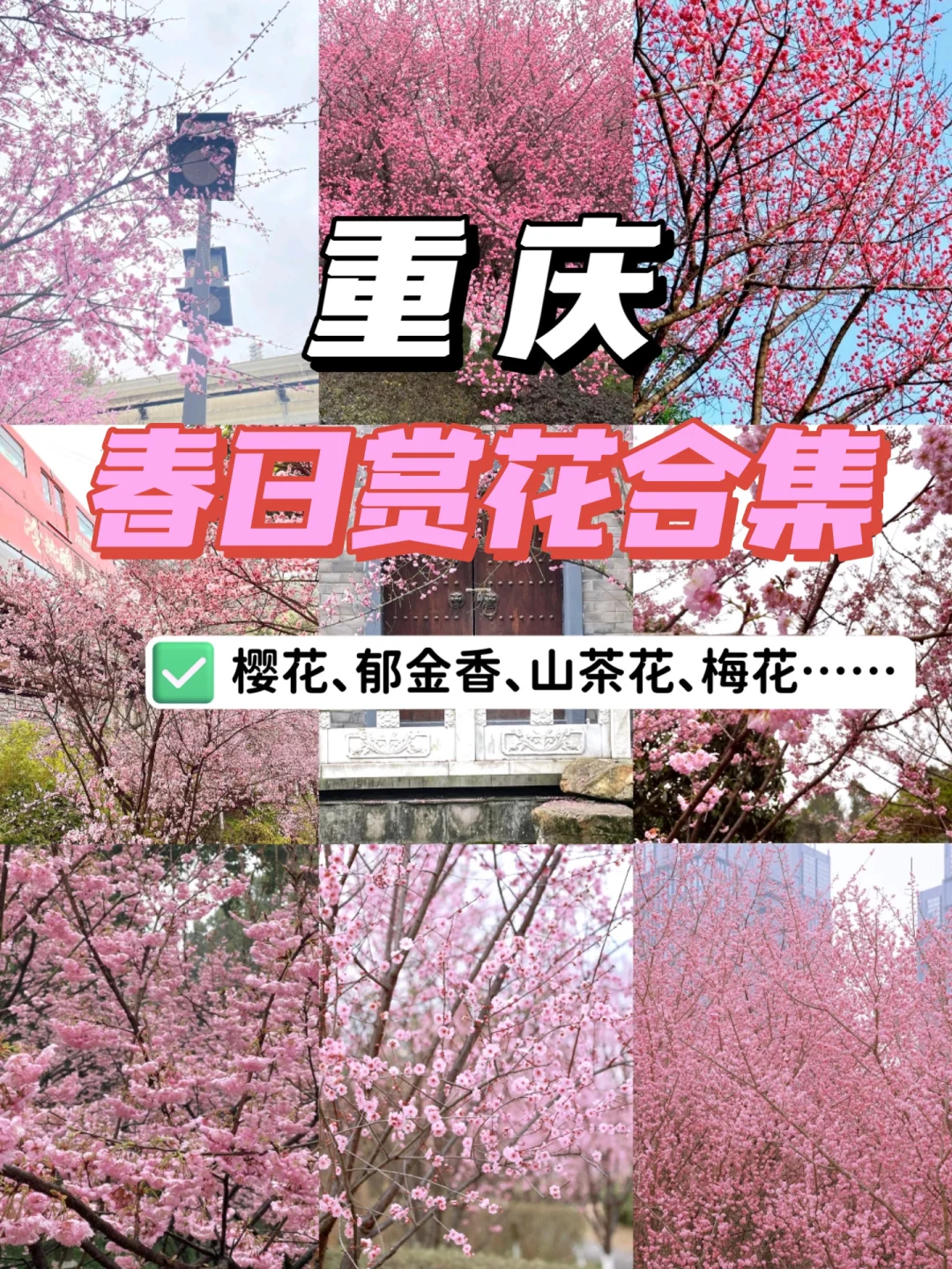 重庆赏花｜2023重庆花海拍照合集🌸