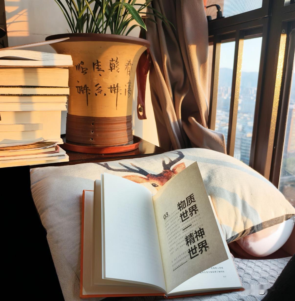 今年冬天的不同南方的冬天还能体感21度，大大的太阳，宅家看书，一大乐事，就是出门