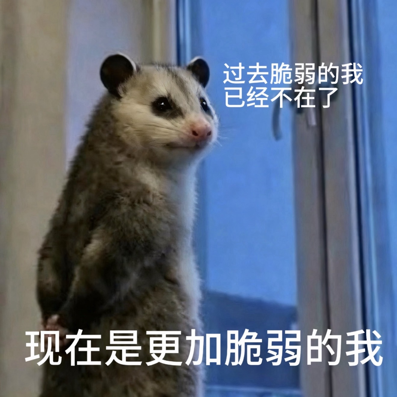 起猛了看到衣服现原形了，穿了一身聚酯纤维发现我家厨房抹布竟然是纯棉的… 