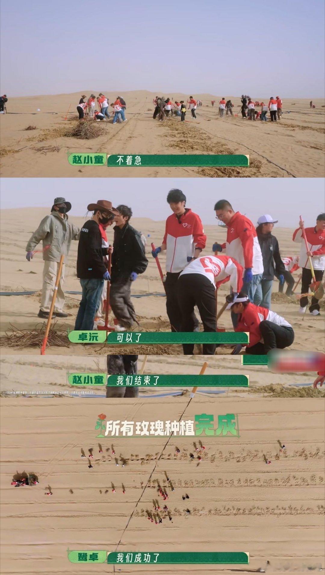 十个勤天的破圈能力之前十个勤天在民勤腾格里沙漠种树，现在也有人在塔克拉玛干沙漠做