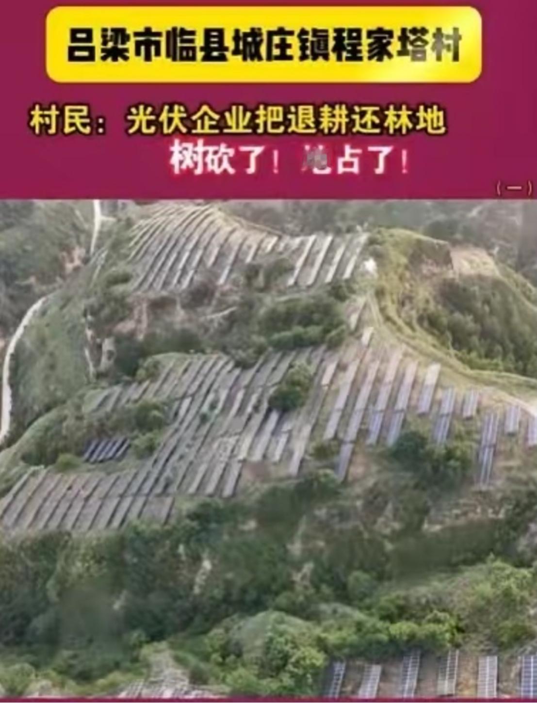 山西吕梁一些村民最近发现，原本种着树的退耕还林山地被清理，取而代之的是成排光伏板