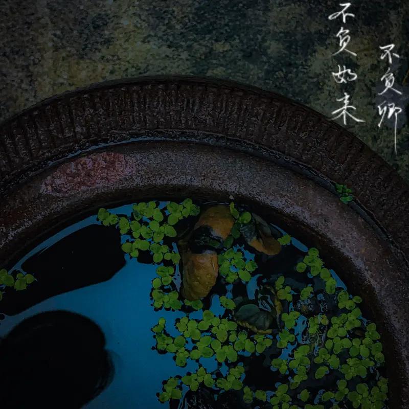 不争,是一种什么境界?不争，是阅尽世事的从容，是内心丰盈的淡定，守得住本心，活得