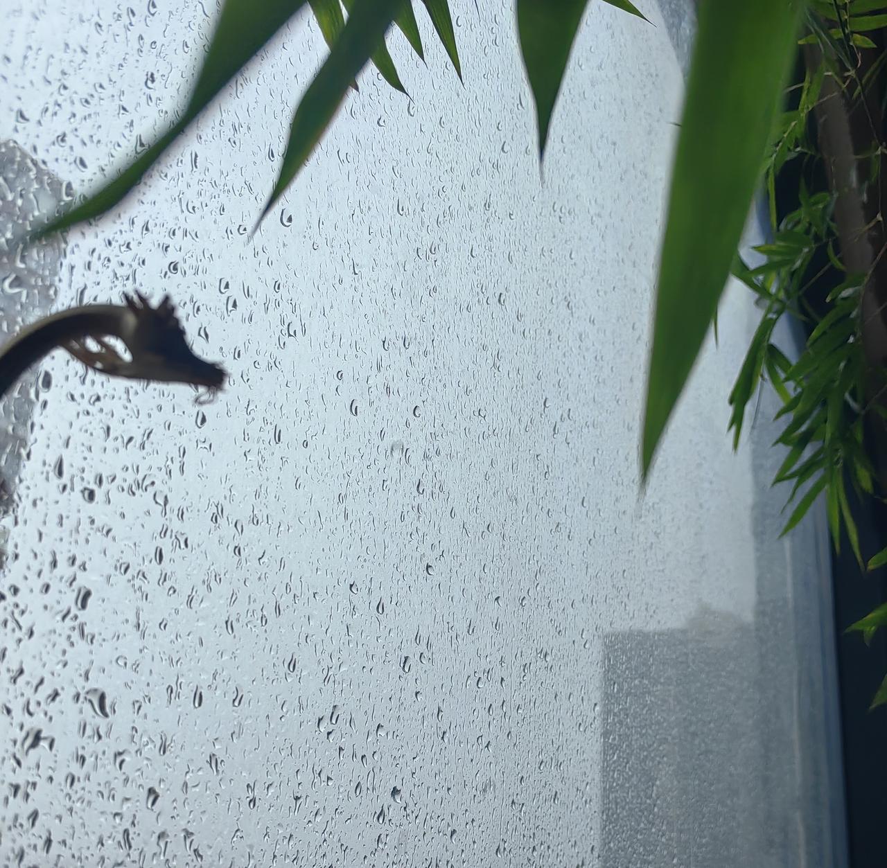 可以分享一张你拍的天空美照吗