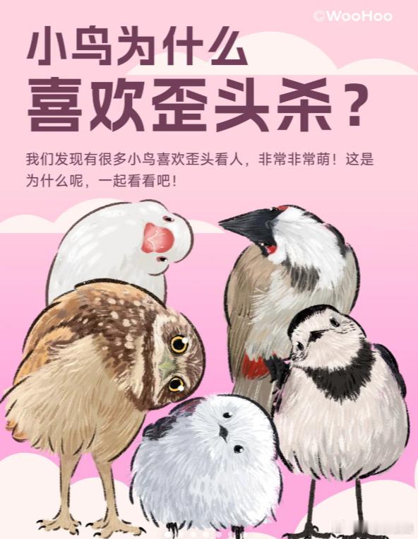 你有没有被小鸟歪头杀萌到过？别误会，它不是在卖萌——只是单眼在看你。鸟类眼睛长在