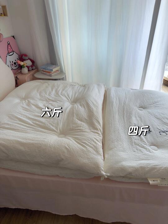 春夏天不知道怎么买被子的看过来！