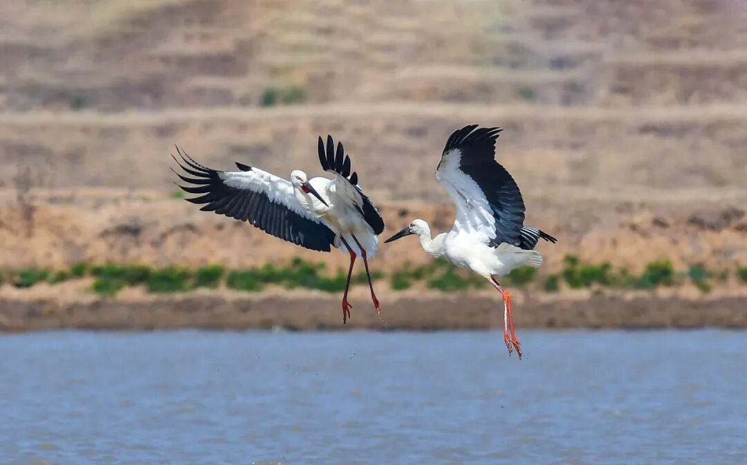 站桩锻炼就是养生
    站桩锻炼对我们的身体帮助很大，因为站桩难，难在一千零一