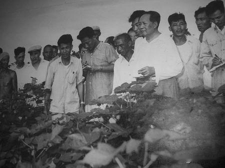 这张珍贵老照片，记录了上世纪50年代末，毛主席在河南农村视察的画面。

他一身朴