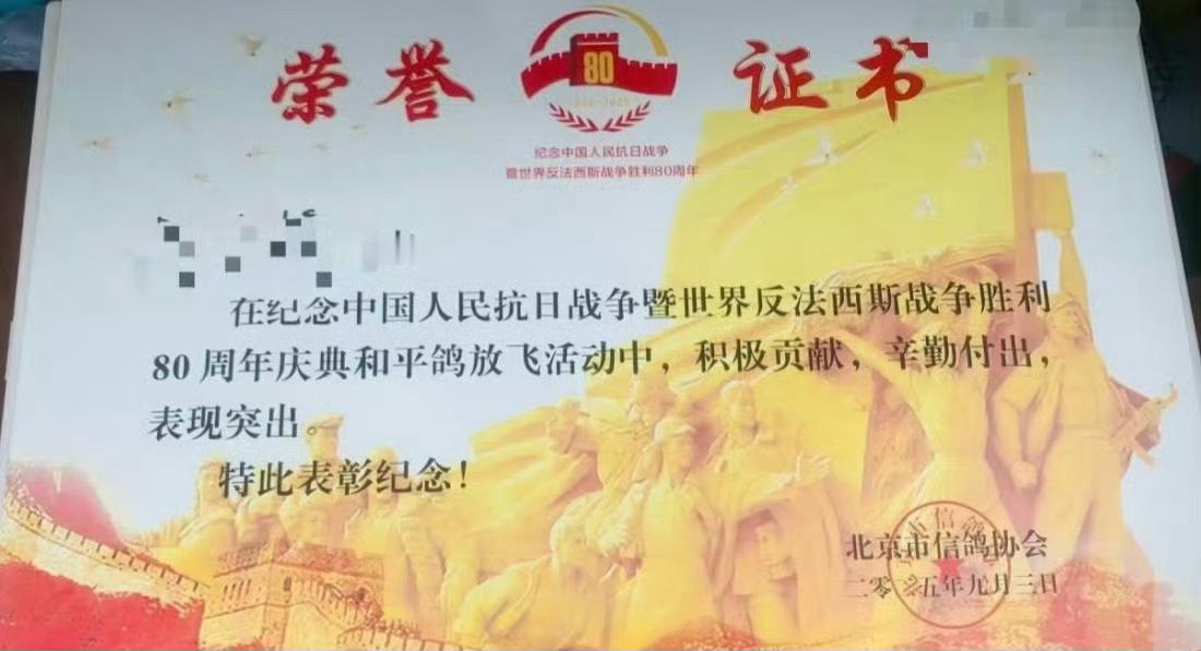 和平鸽也有工资不仅有工资，小鸽子还有荣誉证书哦[锦鲤附体][锦鲤附体] ​​​