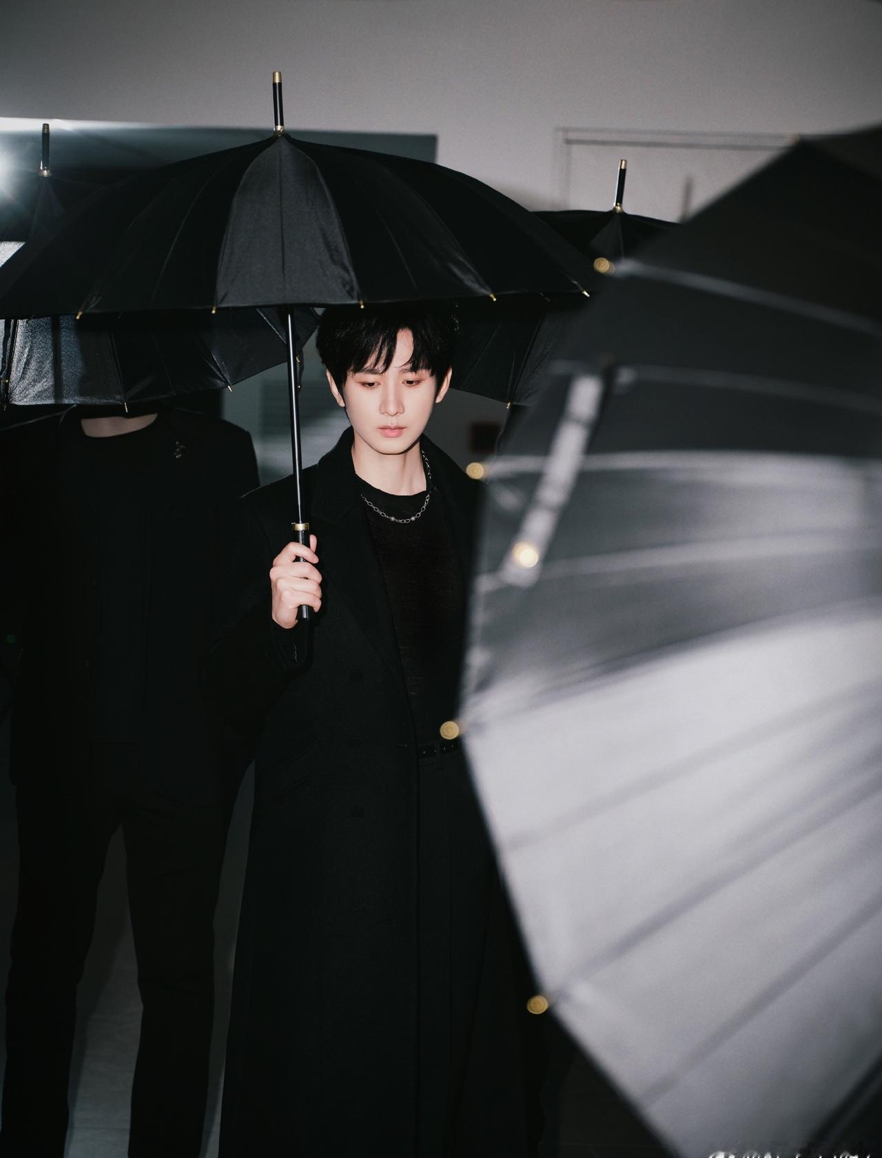 cy2026和成毅江湖再会 

以身入局，孤身的胆，傲骨的魂，且看成毅谢淮安，筹