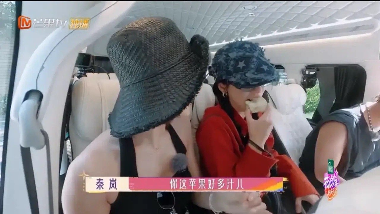 #赵昭仪吵架秦岚劝架#《花儿与少年好友记》又来姐俩搞笑日常：秦岚被坐在旁边的妹宝