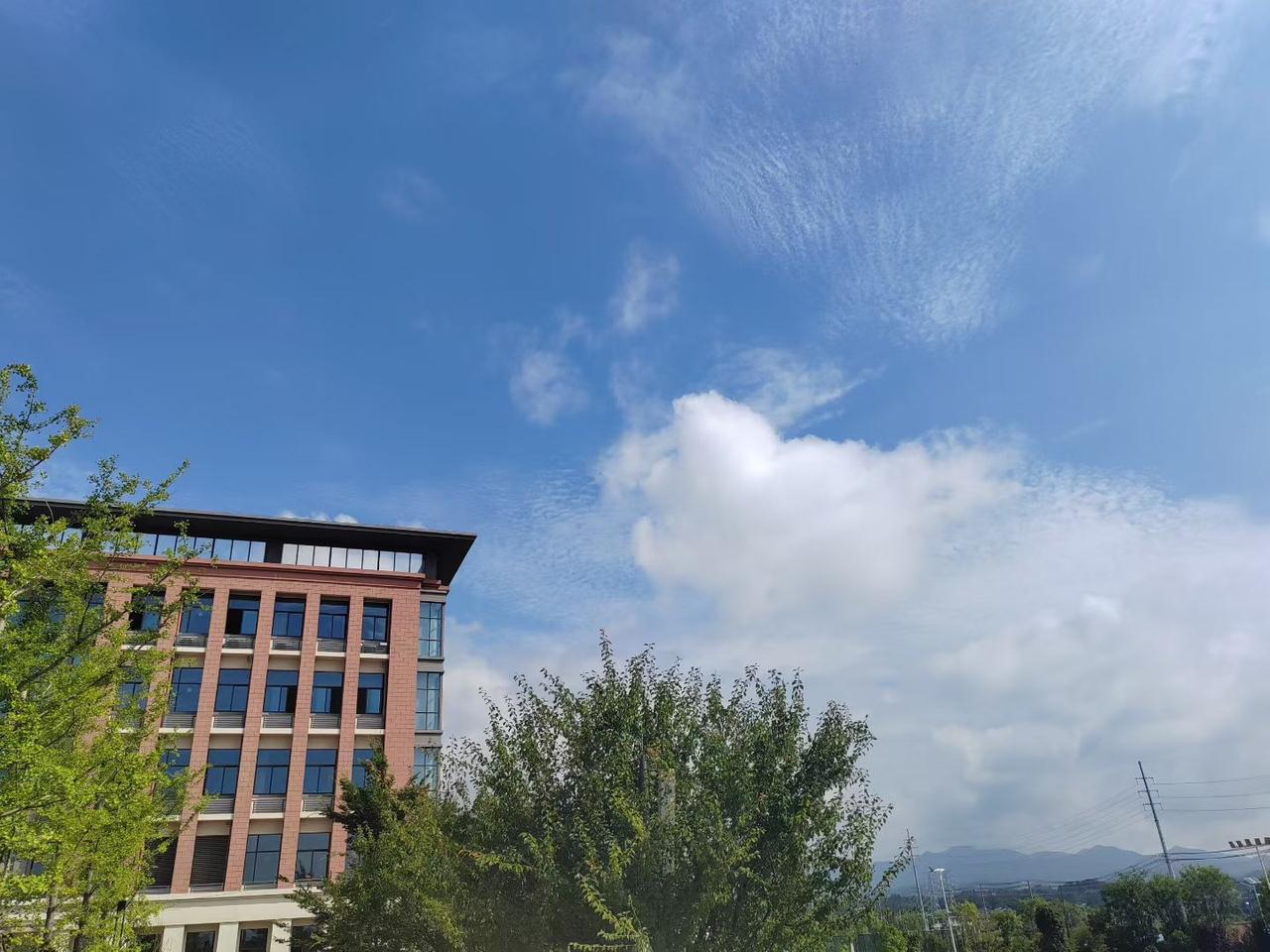 懂浪漫的人，满目皆是温柔

人们常把“浪漫”狭隘地理解为昂贵的鲜花、精致的烛光晚