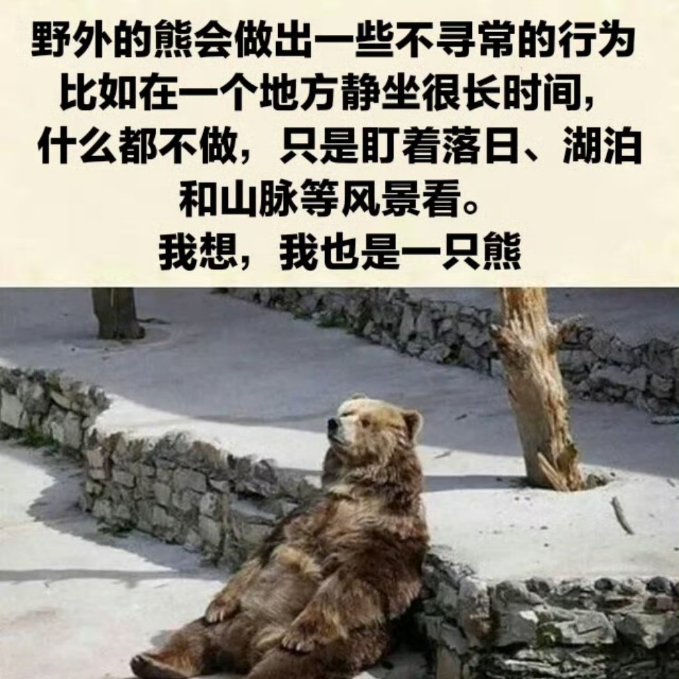 我想，我也是一只熊… ​​​