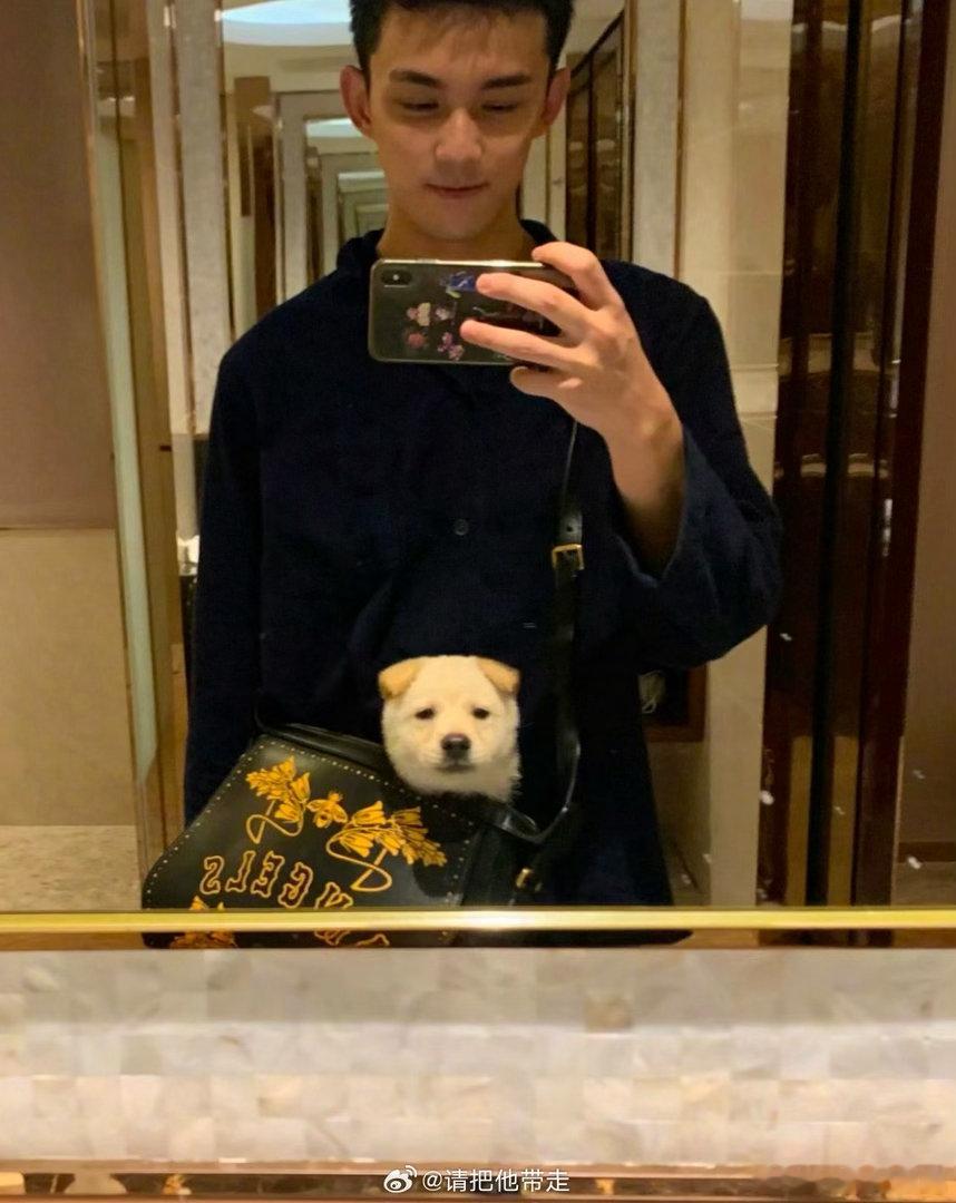 吴磊的镜头好爱小北吴磊的镜头偏爱小北，见证它从小小一只慢慢长大。把相遇的日子记在