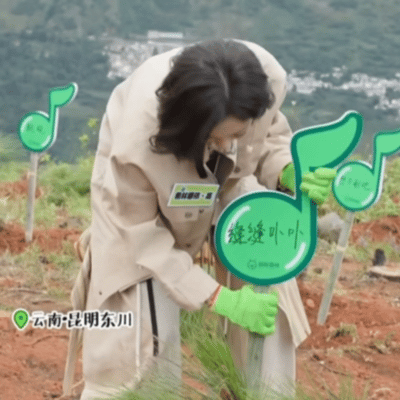 希林娜依高开辟逆应援新赛道希林娜依·高太会玩逆应援！直播跟着专家种云南松，5棵树