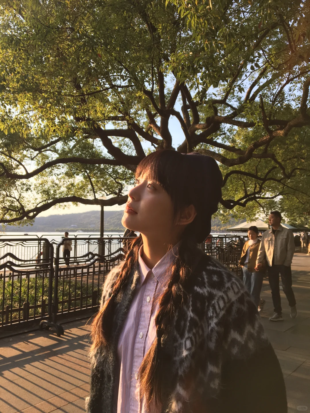 大树会拥抱每一个抬头的人☀️