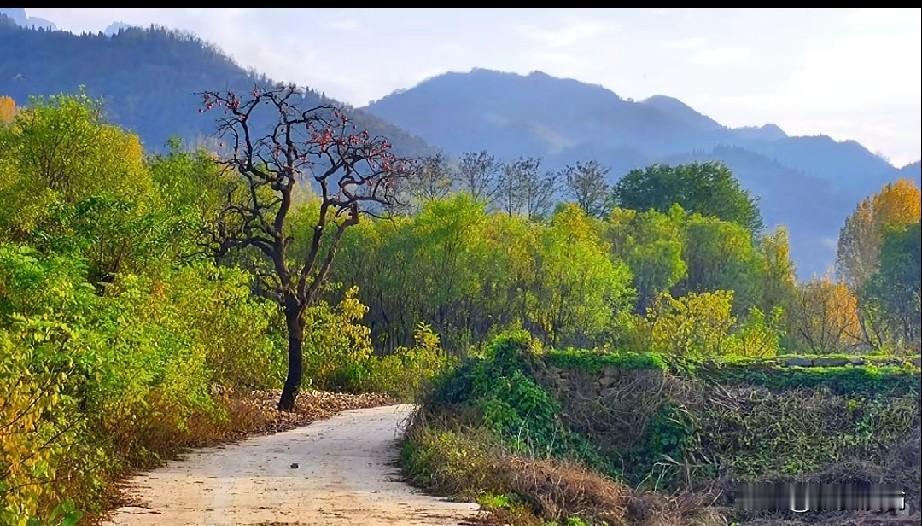 陕西人性格豪爽，对人热心肠，做朋友可以，但尽量不要与之做生意。这一点，作为一个陕