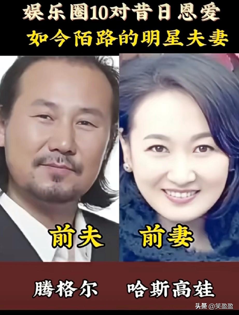 娱乐圈10对昔日恩爱如今陌路的明星夫妻，你认为哪对最惋惜？