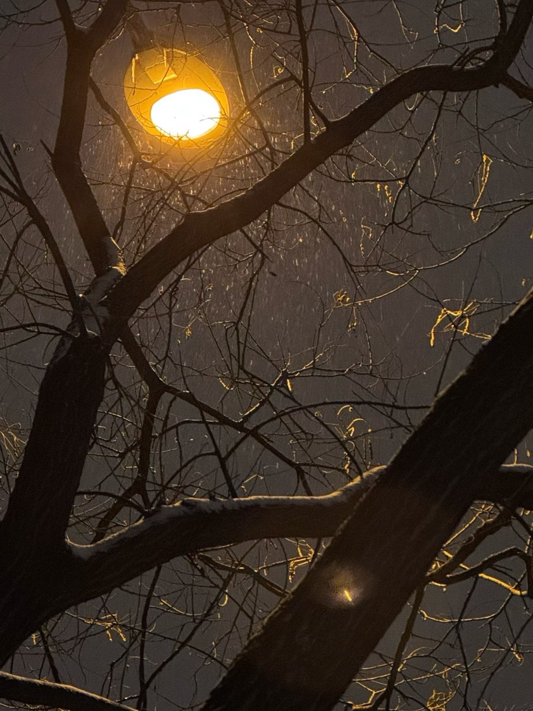 你见北平雪落满城，我望岭南花开半山。南北相隔共冬春，所见皆景，所念同风。 
